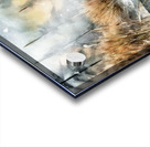 Frozen Marshes and Forest Acrylic print