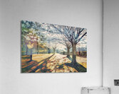 Spring in High Park Toronto Acrylic Print