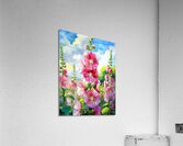 Oma Loved Her Hollyhocks Acrylic Print