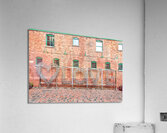 Focus on Love Acrylic Print