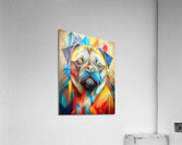 Not Your Average Pug Acrylic Print