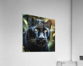 Black Panther  Acrylic Print