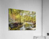 Resting by the Spring Stream Acrylic Print