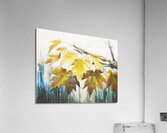 Leaves Almost Gone Acrylic Print
