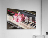 Much loved Acrylic Print