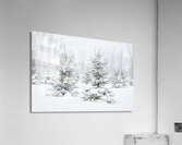pretty little trees Acrylic Print