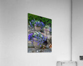 Planters in Blue Acrylic Print