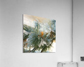 Ice Cone Without the Cream Acrylic Print