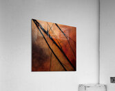 Bare Branches at Sundown Impression acrylique