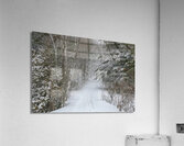 WHERE ARE THE DITCHES Acrylic Print