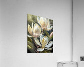 Magnolias Acrylic Print