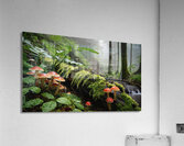 Toadstools in the Forest Acrylic Print