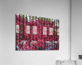 Burning Bush Behind Bars Impression acrylique