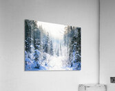 Winter Hiking Trail Acrylic Print