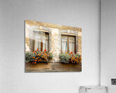 Parisian Windows Acrylic Print