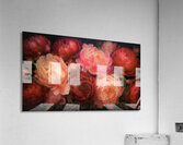 Peony Passion Acrylic Print