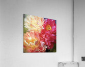 Never Enough Acrylic Print
