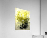 Not Your Everyday Colours Acrylic Print