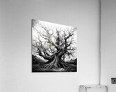 Trees are Always Beautiful Acrylic Print