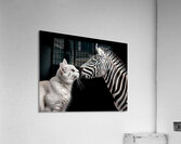 Kissy Kissy Acrylic Print