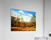 Cart Path Down the Hill Acrylic Print