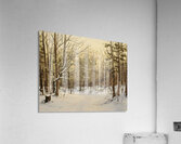 Beautiful Winter Light Acrylic Print