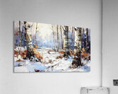 Birch Tree Bottoms Acrylic Print