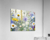 Meadow in Bloom  Acrylic Print