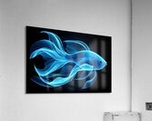 Cold Fish Impression acrylique