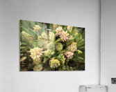 Hyacinths for the Kitchen Table Acrylic Print
