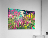 Abstract Flowers Without Limits Acrylic Print