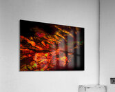 Clutching Hands Acrylic Print