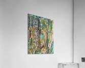 Beautiful Tree Bark Acrylic Print