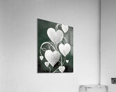 White Hearts on a String Acrylic Print