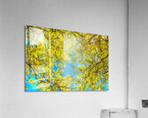 Love that Spring Green  Acrylic Print