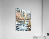 Frozen Marshes and Forest Acrylic Print