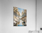 Forest in Winter Acrylic Print