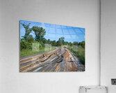 Somebody Seems Happy Impression acrylique