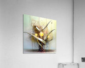 Sun and Moon Acrylic Print