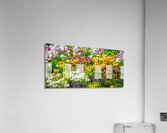 Colorful Assembly Acrylic Print