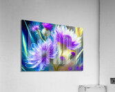 Transparent Thistles Acrylic Print