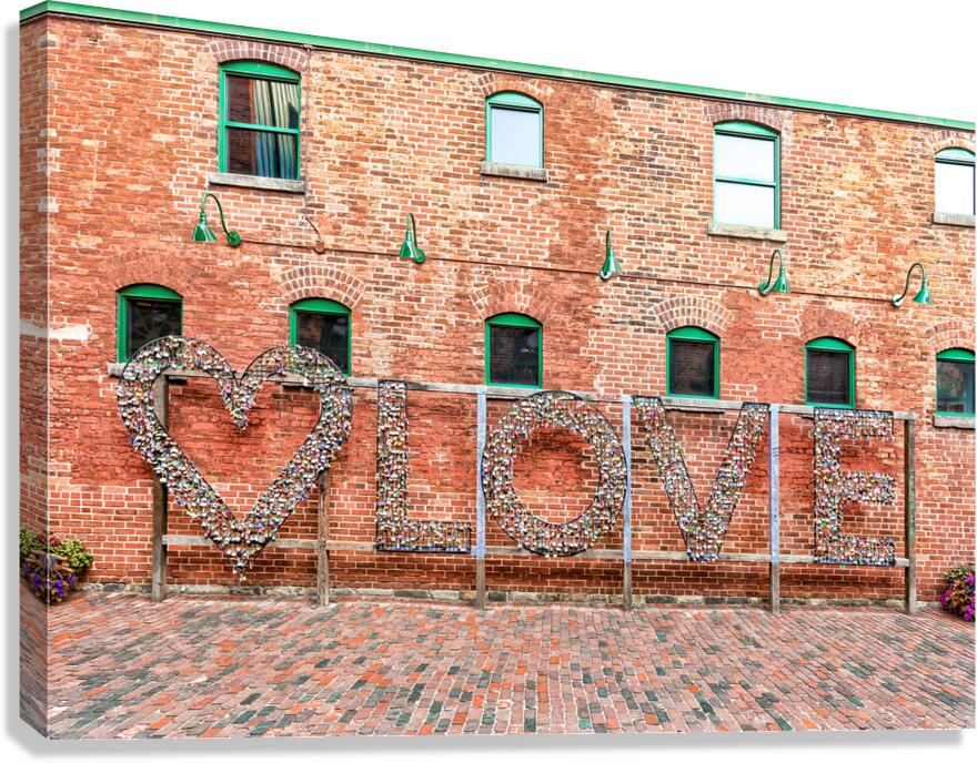 Focus on Love Canvas Print