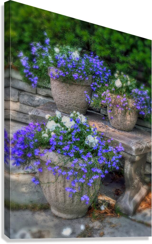 Planters in Blue Canvas Print