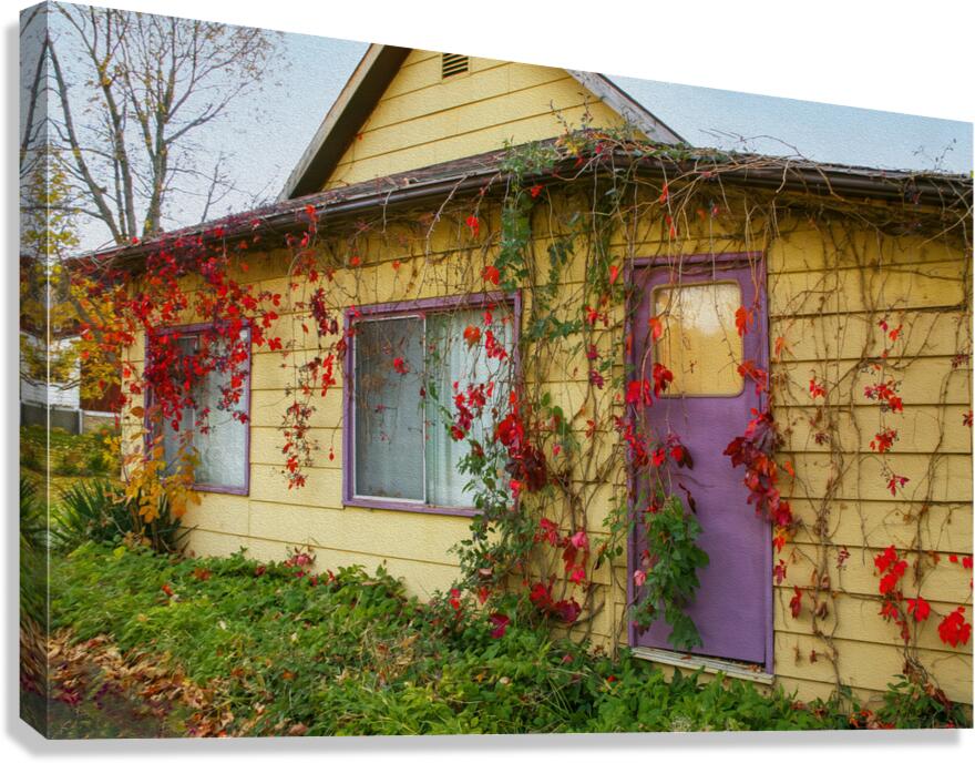 Purple Door Canvas Print