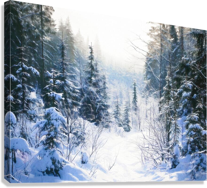 Winter Hiking Trail Canvas Print