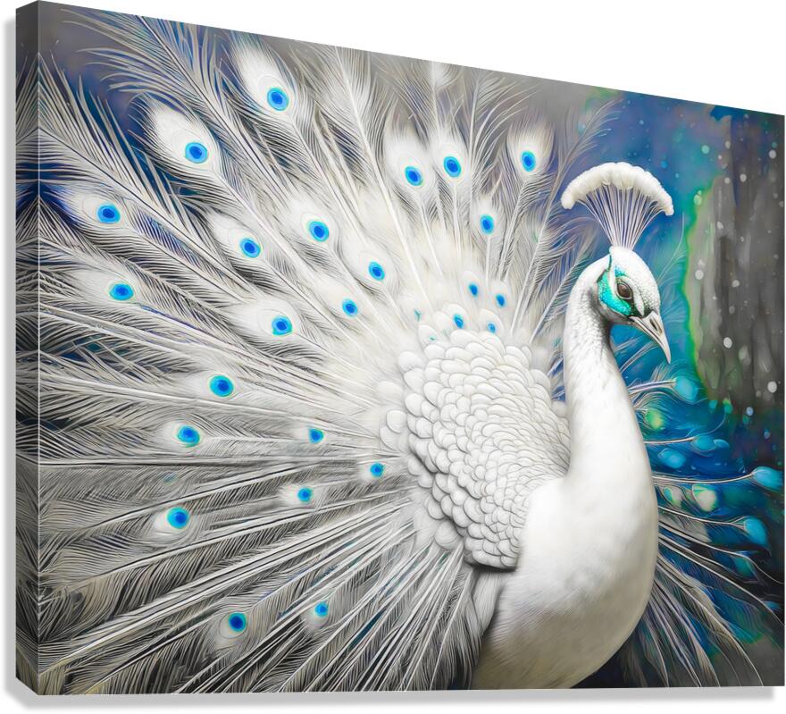 Leucistic Indian Peafowl  Canvas Print