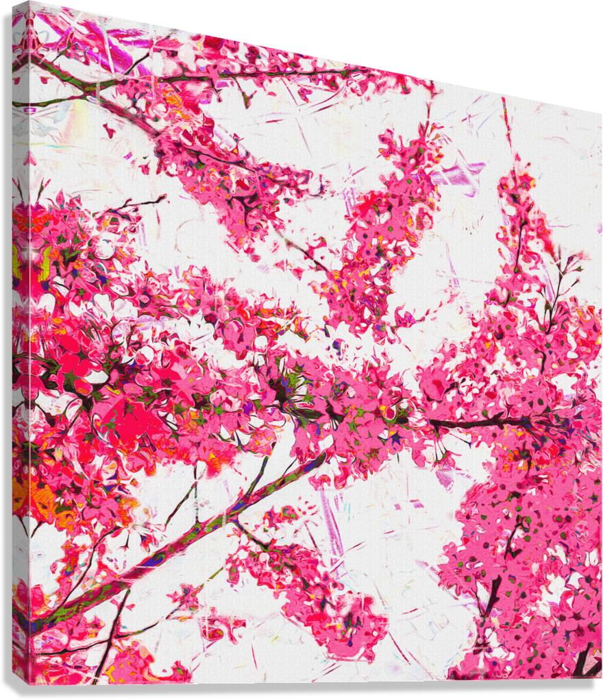 Sakura Tree with Cherry Blossoms Canvas Print