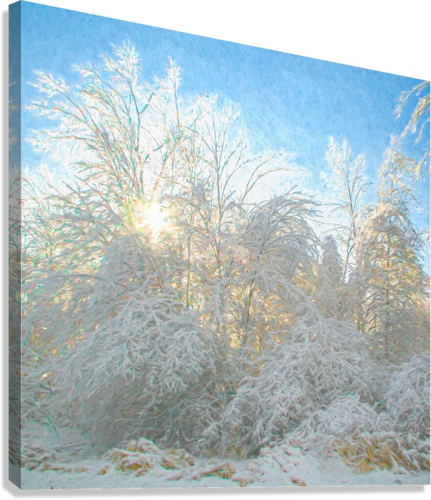 After the Ice Storm Canvas Print