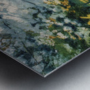 Spring in High Park Toronto Metal print