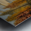 Evening in the Forest Metal print